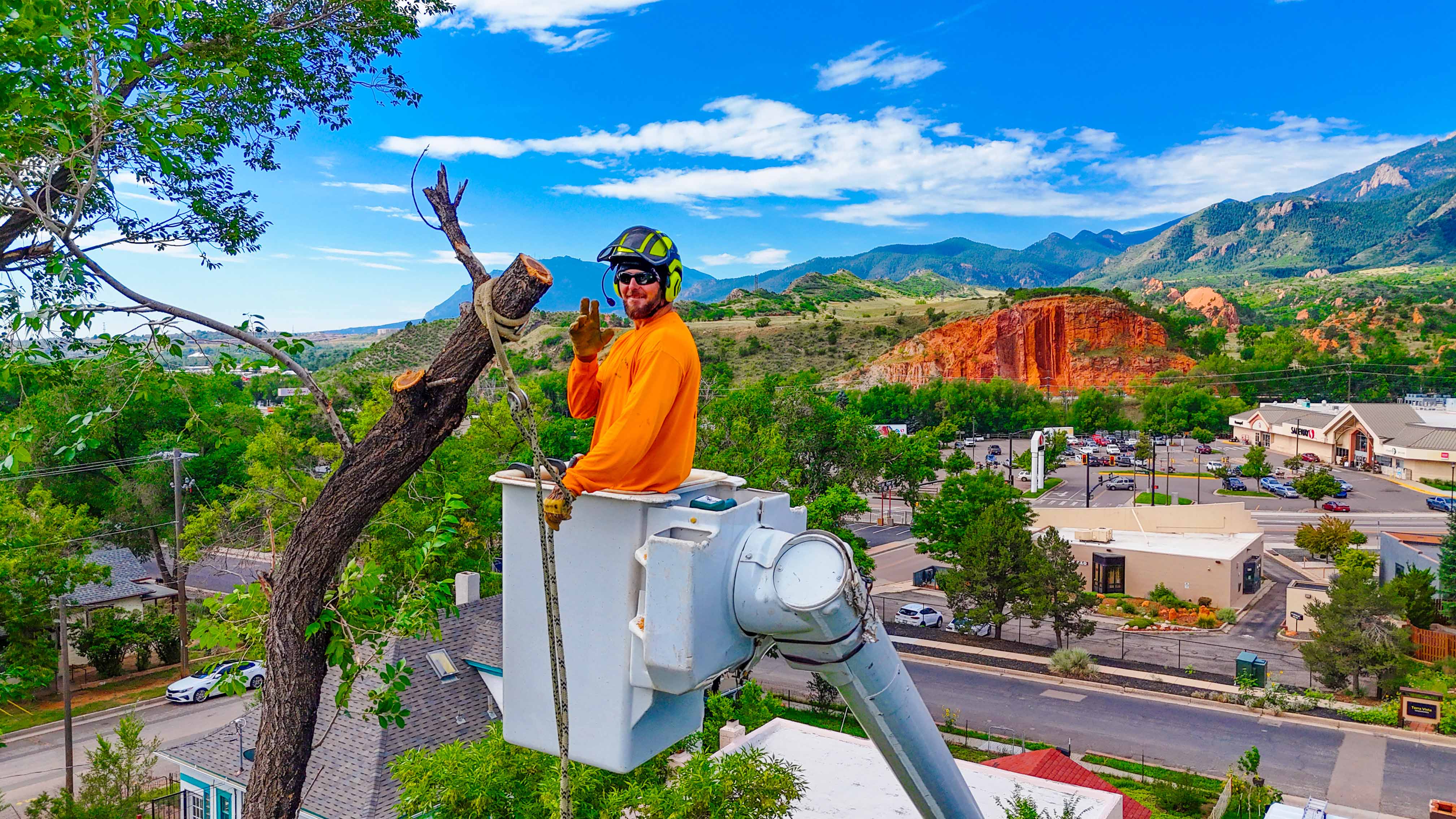 Tree Removal in Colorado Springs